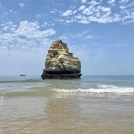 Vista Mar Da Rocha Apartamento